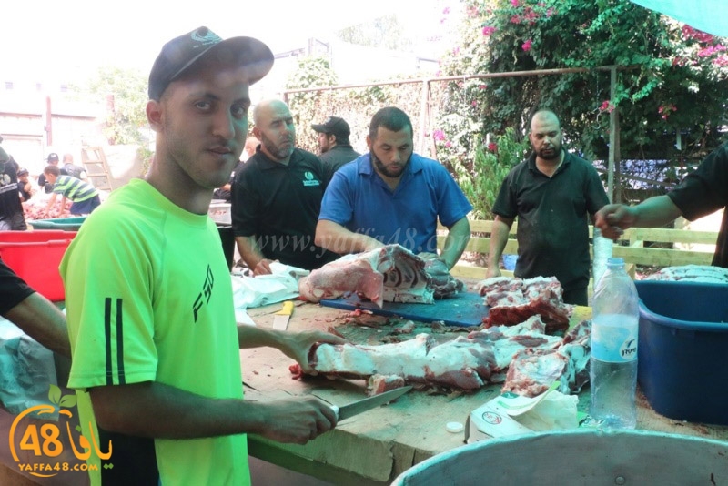 lod8om ada73y (31).JPG